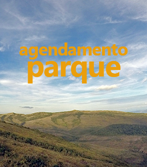 agendamento